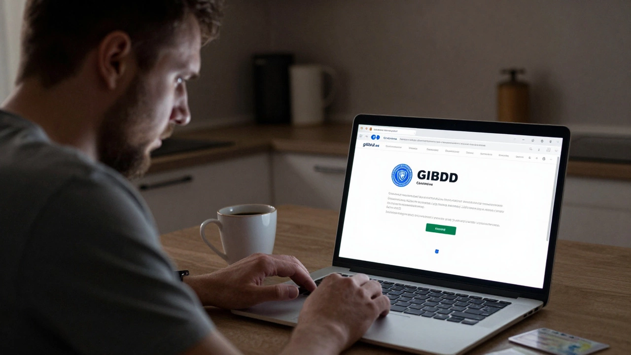 Можно ли проверить штрафы по фамилии? Правда и мифы